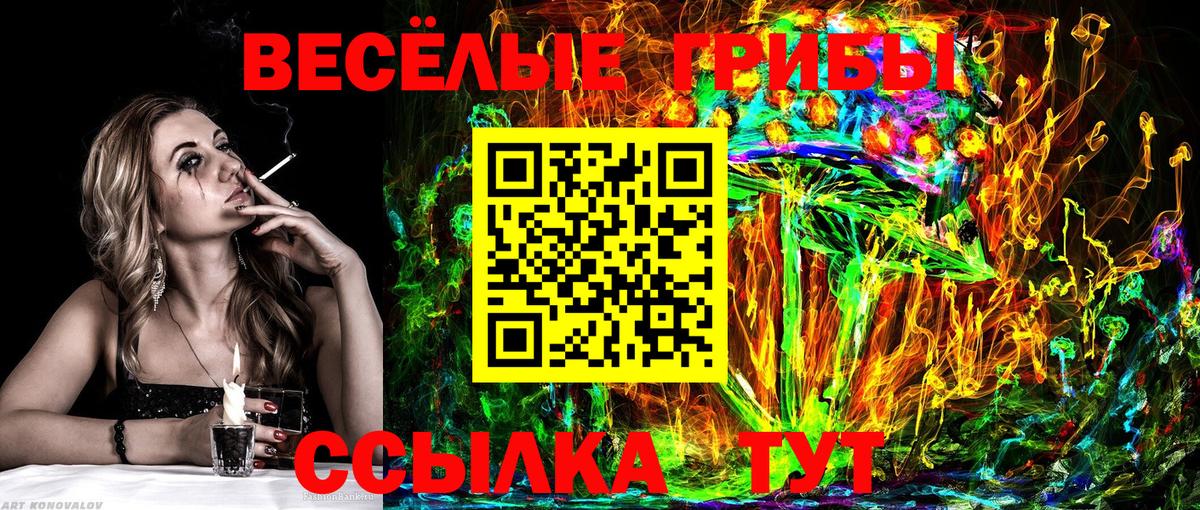 Галлюциногенные грибы мухоморы Алейск