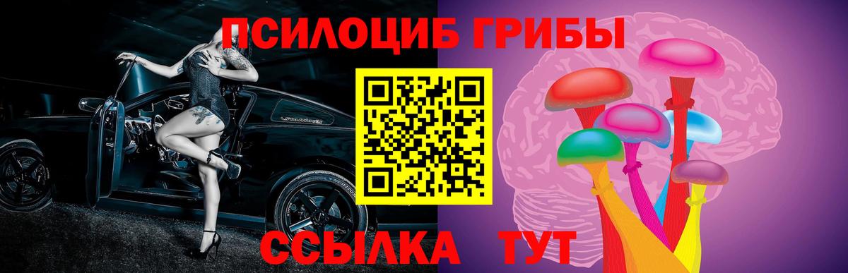 Алейск  Галлюциногенные грибы прущие грибы  Псилоцибиновые грибы GOLDEN TEACHER  Вход с VPN 